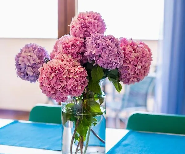 شقة Downtown Dorian And Nadia أوباتيا