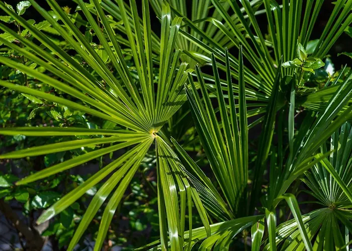 Appartement Downtown Dorian And Nadia
